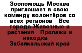 Зоопомощь.Москва приглашает в свою команду волонтёров со всех регионов - Все города Животные и растения » Пропажи и находки   . Забайкальский край
